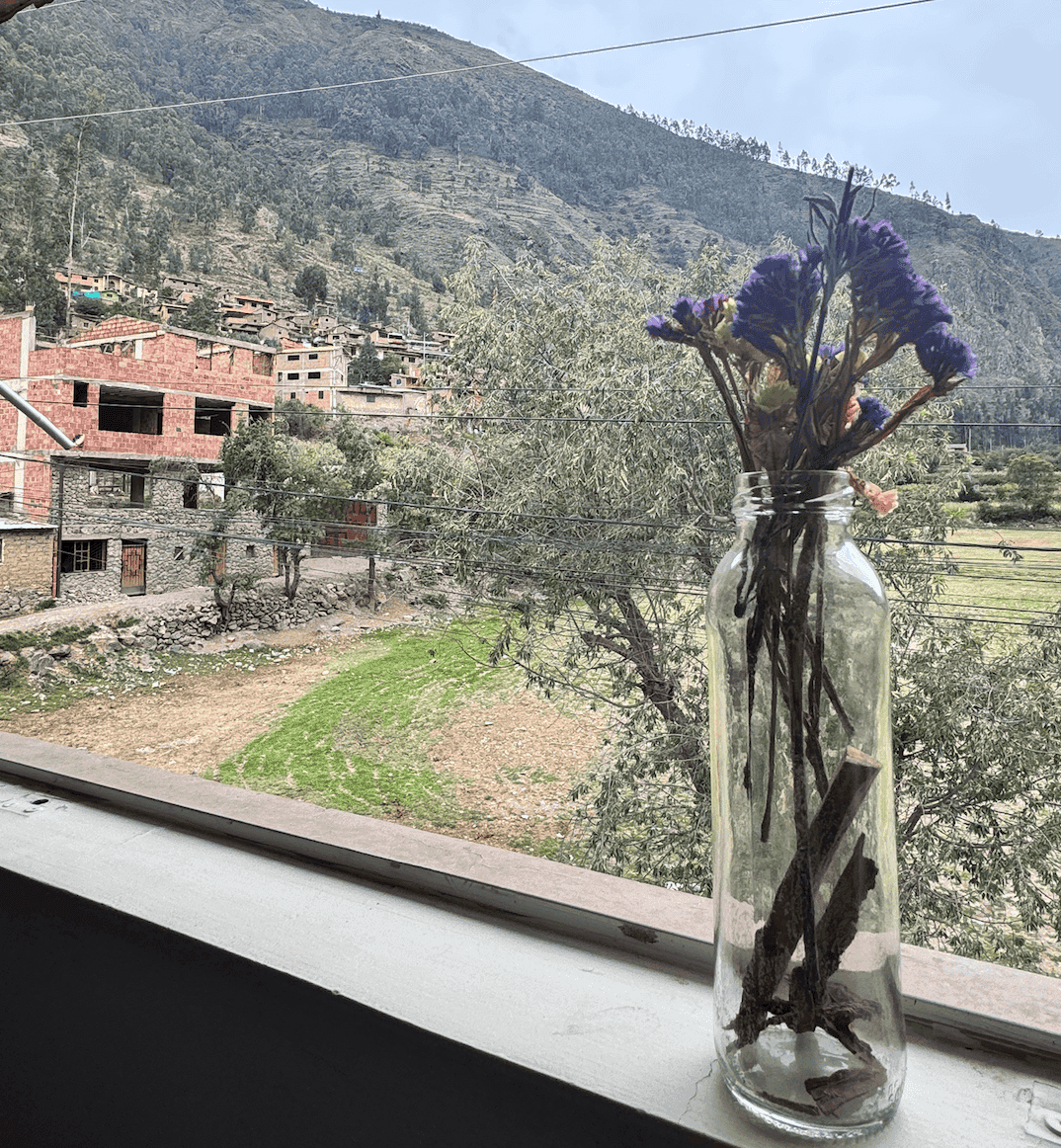 Ayllu Bed and Breakfast - View Outside Room