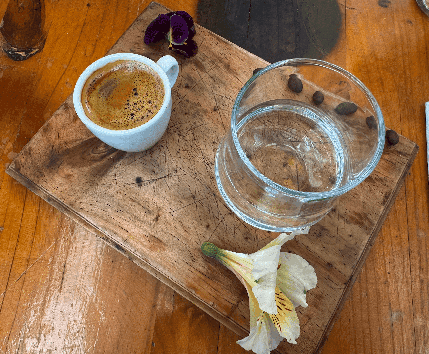 Green Point Vegan - Espresso