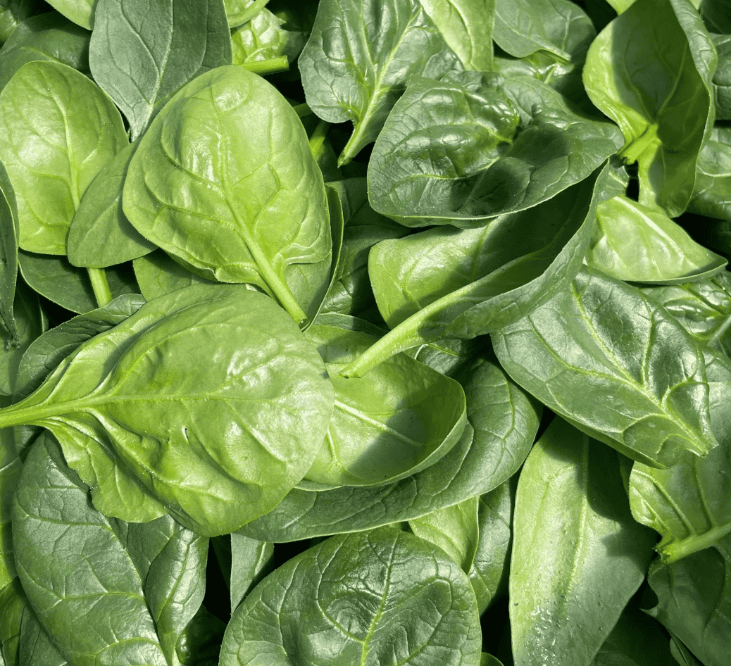 Spinach