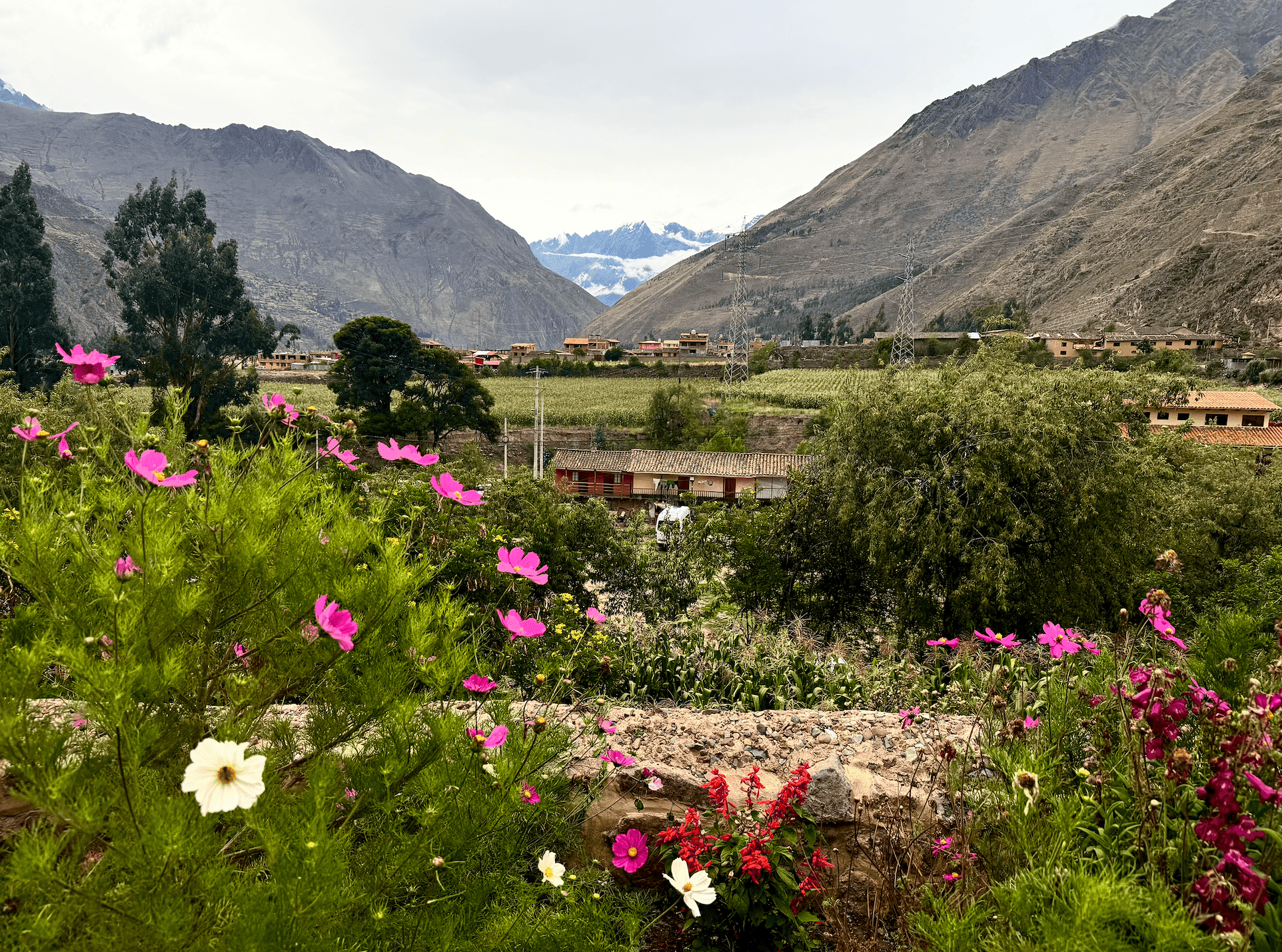 Vegan travel tips in Ollantaytambo: savor plant-based food, browse local markets, and explore Inca archaeological sites in Peru’s Sacred Valley.